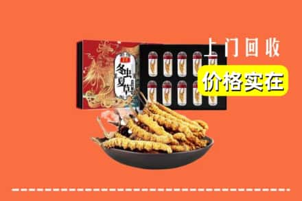 昌都卡若区回收冬虫夏草